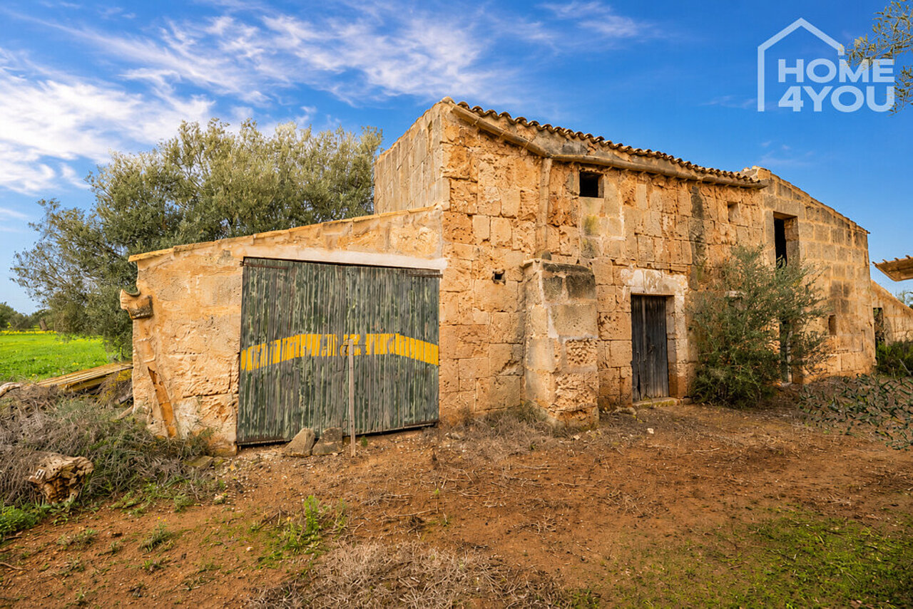 Bestandsfinca