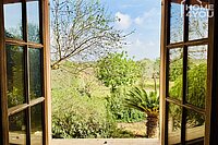 Finca-Feeling