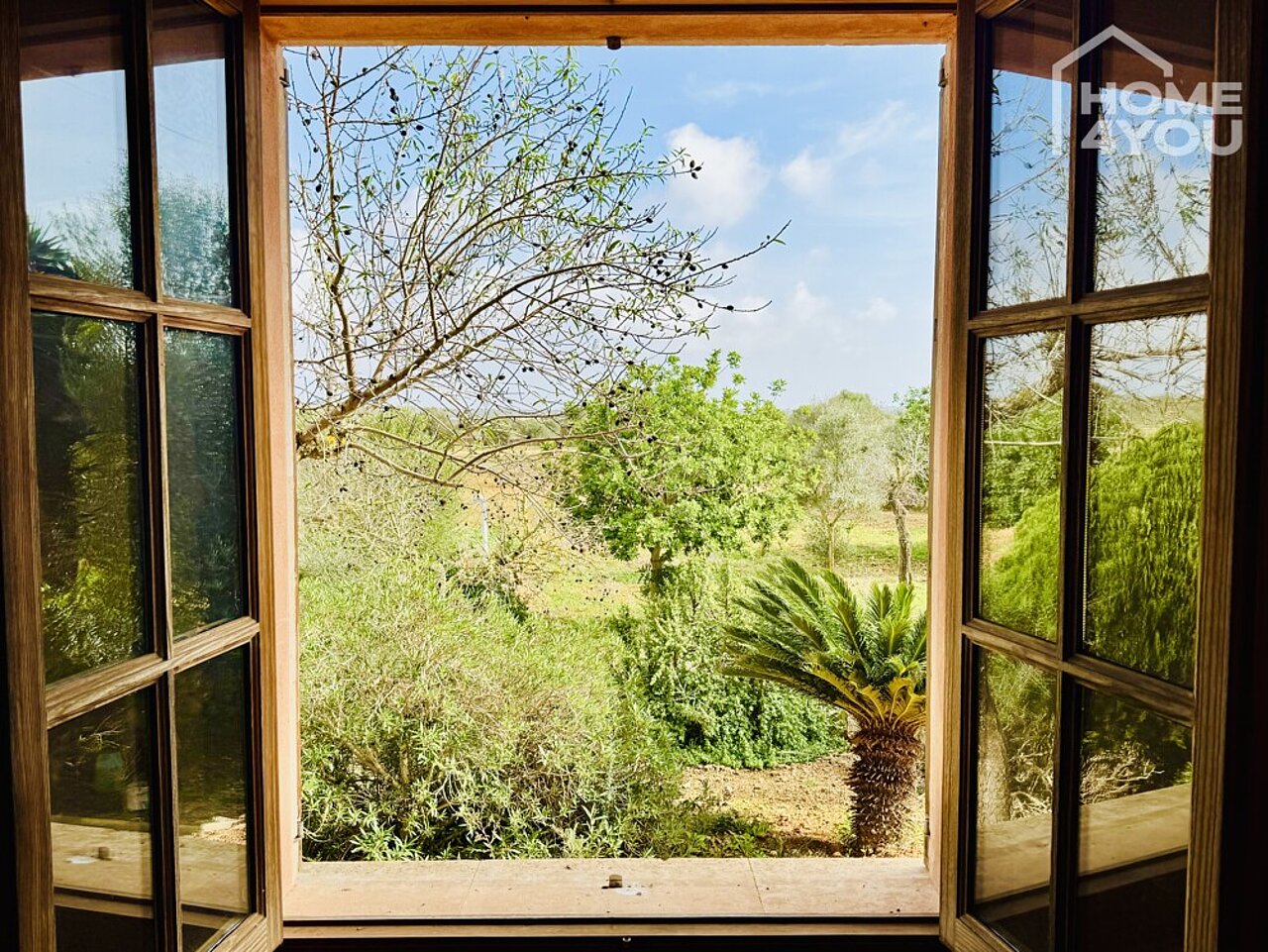 Finca-Feeling