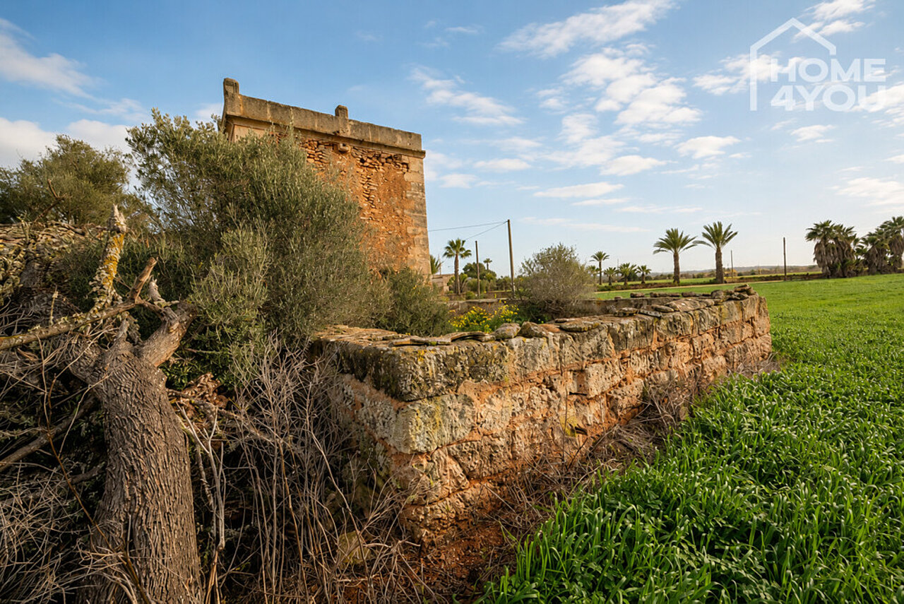 Bestandsfinca