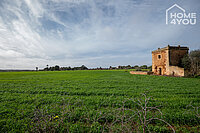 Finca