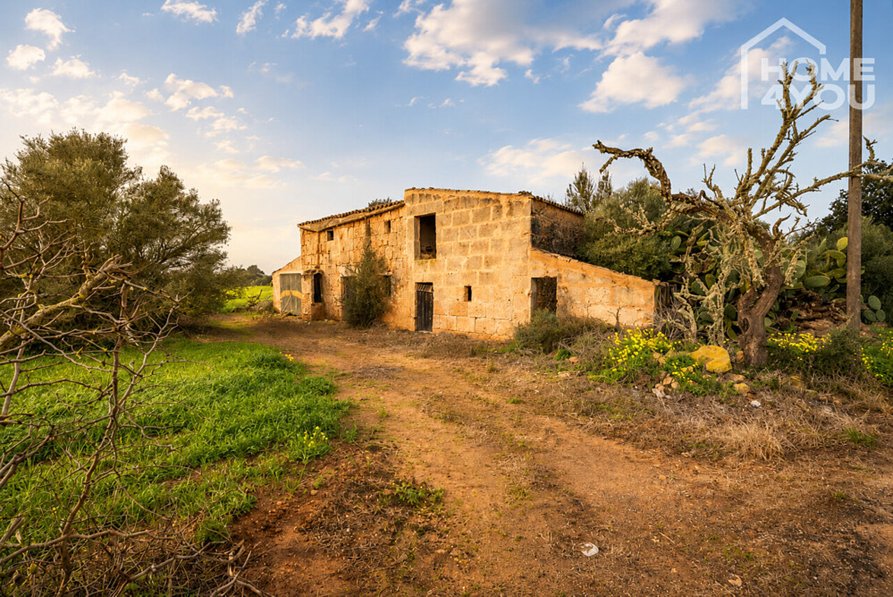 Finca
