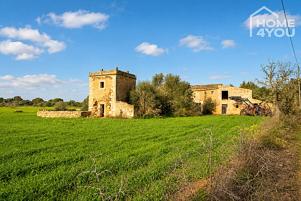 Historische Natursteinfinca bei Campos, 21.300 m² Grundstück & großes Entwicklungspotenzial, 270m² – Finca kaufen in Campos, Mallorca